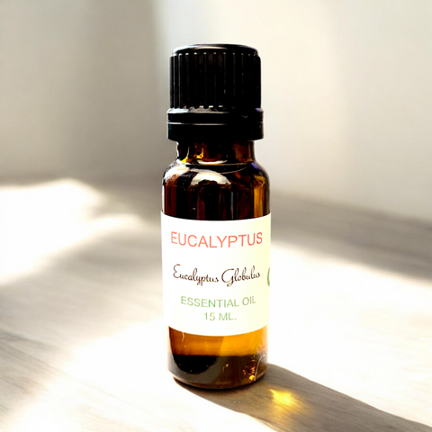 Eucalyptus Globulus Essential Oil