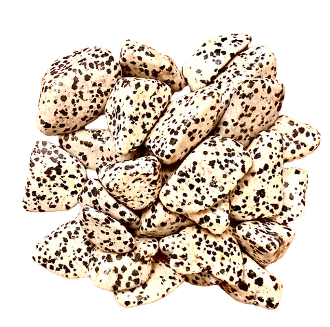 dalmation jasper polished stone